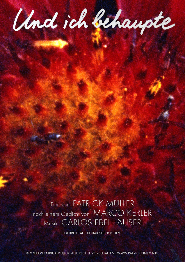 https://www.patrickcinema.de:443/files/gimgs/th-22_Und ich behaupte Plakat_v2.jpg